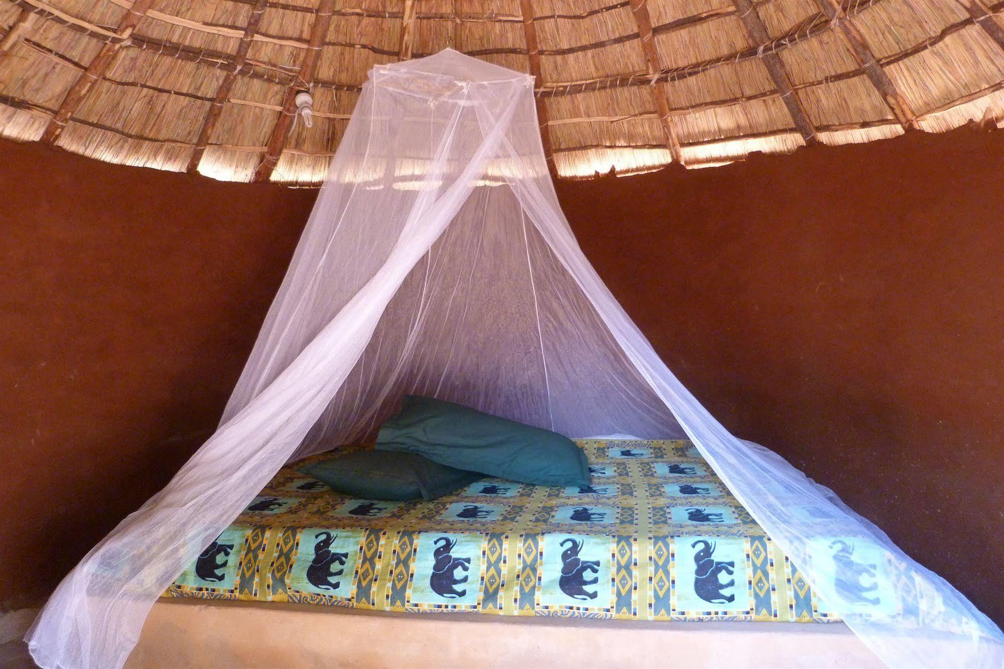 Hotel Zinga Backpackers à Livingstone Extérieur photo