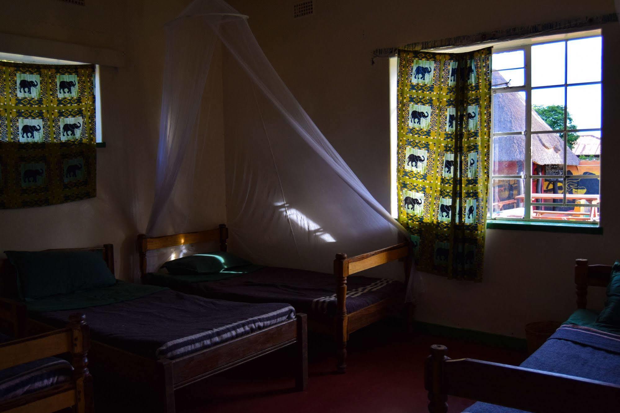 Hotel Zinga Backpackers à Livingstone Extérieur photo